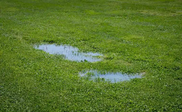 Basement water near sump pit